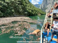 Pamje “horror” për turistët