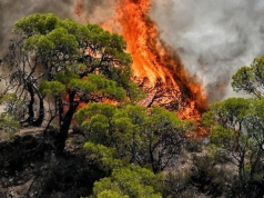 Zjarrvënia, dënime të ashpra nga Kodi Penal