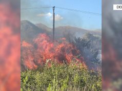 Dogji ullinjtë e fshatit. Arrestohet 56-vjeçari në Delvinë