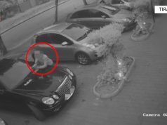 Zbulohet kush i theu fshirëset e xhamave të 30 automjeteve (video)