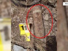 Armë, predha, municione dhe kokainë. Kapet pjesëtari i bandës në Elbasan (video)