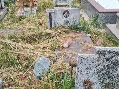 Varrezat e Elbasanit tmerrojnë të gjallët (video,foto)