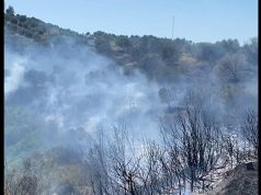 Nisin zjarret. Policia: mos u vini flakën kullotave!