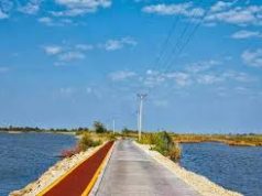 Italiani humb jetën sapo futet në det