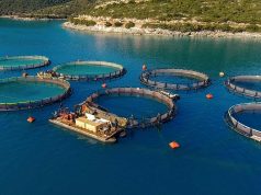 Gjysma e peshkut të zënë më 2023 vinte nga rezervatet