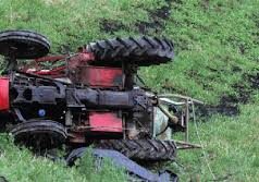 Zetori del nga rruga. Humb jetën bujku në Kuçovë