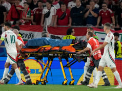 Humbi ndjenjat në fushë, zbulohet gjendja e Vargas