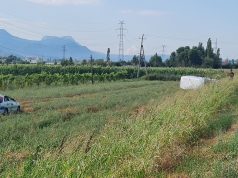 Makinat permbysen dhe dalin jashte rruge. Tre te plagosur ne Laç -Lezhe (video)