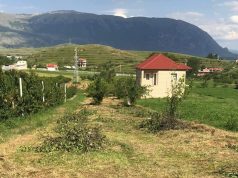 Babai 83 vjeç qëllon me armë të birin pasi e rrahu se ishte i dehur