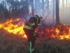 Fillojnë arrestimet për zjarrvënie, Balla: Nuk do të tolerojmë asnjë rast. Ndëshkim ekzemplar për këdo!
