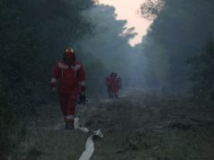 Zjarr në Llogora. Ministria: mos kaloni në këtë aks