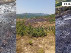 Policia zbardh 2 zjarrvënie në Papër