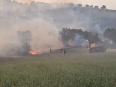 Zjarret në Kavajë. Evakuohen banorët