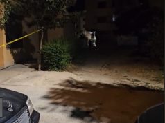 Vrasje nga xhelozia në Fier