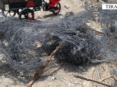 Kapen hajdutët e telave të rrugës