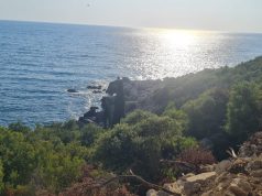 Shpërthen granata në Livadh. Plagoset i moshuari që po punonte tokën Himara