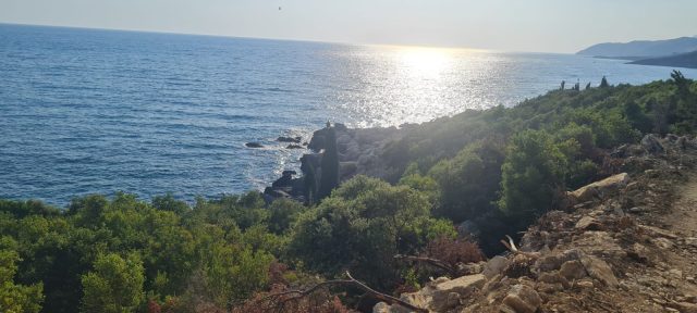 WhatsApp Image 2024-07-15 at 08.27.01_1ba7c16d Himara