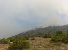 Zjarre edhe në Lurë. Banorët: na sillni helikopterin!