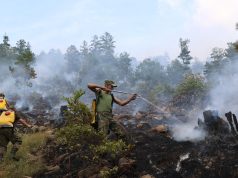 Ushtria në luftë me flakët (video)