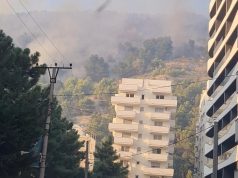 A iu vu flaka malit të Shëngjinit për ndërtime? Hipoteza e ekspertit