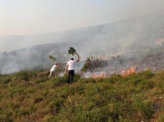 I vuri flakën fshatit, vihet në pranga 36-vjeçari në Radhimë