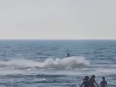 Ndodh edhe në Gjirin e Lalzit