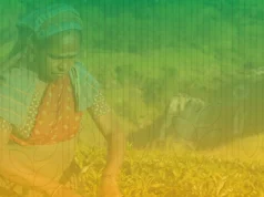 Inflacioni i çmimeve të ushqimeve mbetet i lartë në shumë vende me të ardhura të ulëta dhe të mesme. Mes tyre edhe Shqipëria