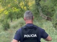 Arrestohen 16 persona për hashashin në malet e Krujës