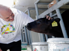 Rënie mbi rënie/ INSTAT: Bujqësia në rrokullimë të pandalshme, thellohet kriza e prodhimit