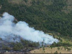 Shqipëria nën pushtetin e flakëve. 21 vatra zjarri në 24 orë