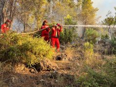 29 vatra zjarri në të gjithë vendin. Ja sa janë shuar