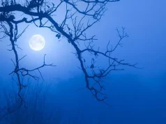 Sonte Hëna “Blu” dhuron pamje fantastike. E plotë dhe më afër tokës…