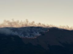 28 vatra zjarri në Shqipëri. Zjarri “maqedonas” vazhdon të digjet në Malin e Thatë. 80 zjarrfikës në luftë me flakët në anën shqiptare