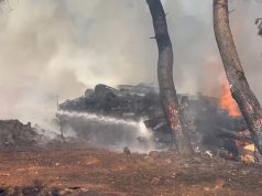 19 vatra zjarri, fiken shumica. Ja zonat dhe pamjet!