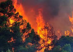 Zjarret, nën kontroll shumica e 39 vatrave në 24 orët e fundit