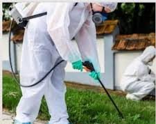 “Po na helmojnë lagjen!” Qytetari në Tiranë pengon punonjësin e dezinfektimit