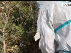 Arrestohet për vrasjen e babait që e kishte denoncuar të humbur