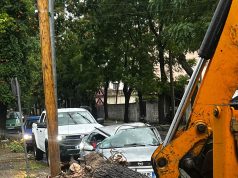 Moti i keq. Era e fortë rrëzon pemë në Shkodër