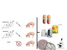 Rreziku i përdorimit të hormoneve në blegtori