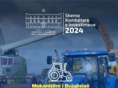 Ministrja Denaj: Deri në 5 milionë lekë për mekanizmin e bujqësisë