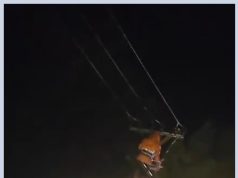 Stuhia në Divjakë. Braçe tregon punën në kushte ekstreme moti të elektricistëve