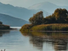 Obot, mbytet 18-vjeçari në lumin Buna