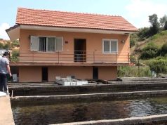 Skema Kombëtare e Investimeve/ Deri në 20 milionë lekë mbështetje për sipërmarrjet e akuakulturës