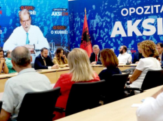 12 drejtuesit e Berishës ngjallin pakënaqësi!