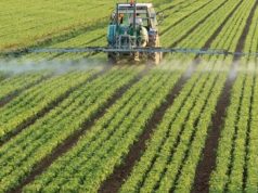 Bankat tregtare/ Këtë vit mbi 1.8 miliardë lekë kredi për sektorin e bujqësisë.