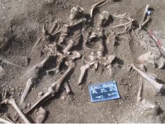 Arkeologet danezë zbulojnë 50 skelete vikingësh