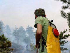 Mirditë, flakët përhapen në 560 hektarë pyje, kërcënohen disa fshatra