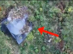 Në Kaçinar, laborator droge si në xhungël