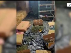 Bilanci i aksionit te magazina e hashashit nē Korçë (video)