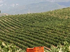 Shpjegimi në pak hapa. Ja si aplikohet për skemën kombëtare të investimeve